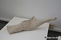 VBS_4078 - Paratissima 2021 - 17.ma Edizione